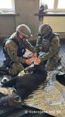 Kynológia Vojenskej polície na International K9 Tactical Combat Casuality Care v Poľsku