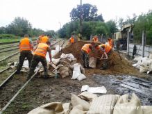 Leviania nasaden proti povodniam