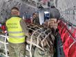 Zabezpečenie rotácie personálu v operácii EUFOR ALTHEA